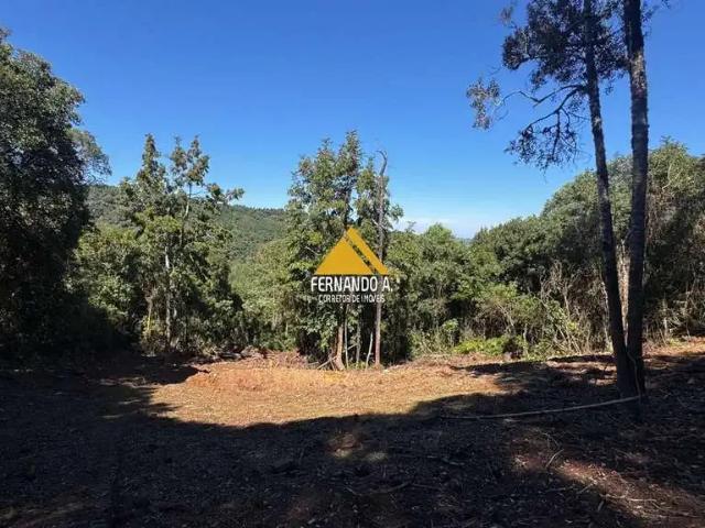 Sítio e chácara venda em Região Geográfica Imediata de Novo Hamburgo - São Leopoldo, Santa Maria do Herval