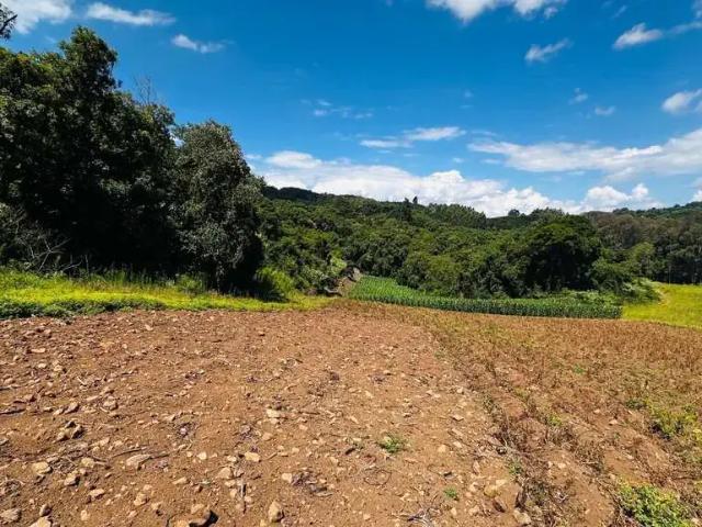 Sítio e chácara venda em Região Geográfica Imediata de Novo Hamburgo - São Leopoldo, Santa Maria do Herval