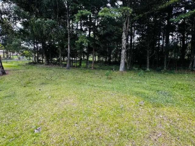 Sítio e chácara venda em Região Geográfica Imediata de Novo Hamburgo - São Leopoldo, Santa Maria do Herval