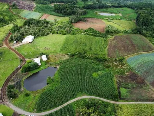 Sítio e chácara venda em Região Geográfica Imediata de Novo Hamburgo - São Leopoldo, Santa Maria do Herval
