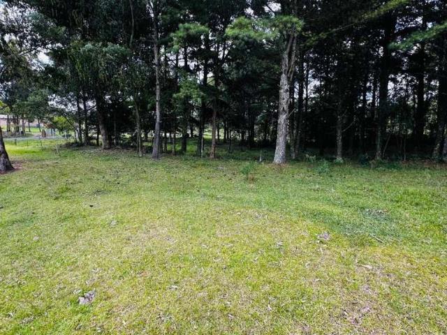 Sítio e chácara venda em Região Geográfica Imediata de Novo Hamburgo - São Leopoldo, Santa Maria do Herval