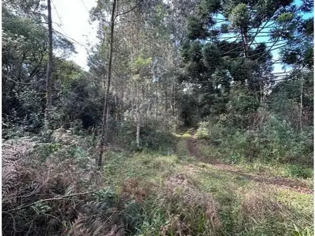 Sítio e chácara venda em Região Geográfica Imediata de Novo Hamburgo - São Leopoldo, Santa Maria do Herval