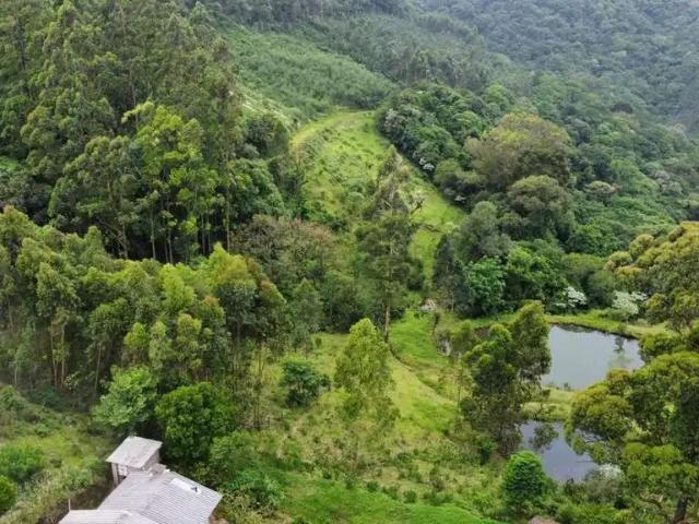 Sítio e chácara venda em Região Geográfica Imediata de Novo Hamburgo - São Leopoldo, Santa Maria do Herval