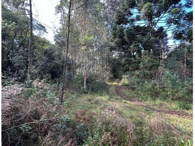 Sítio e chácara venda em Região Geográfica Imediata de Novo Hamburgo - São Leopoldo, Santa Maria do Herval