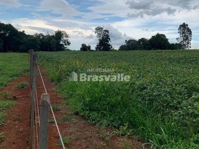 Sítio e chácara venda em Região Geográfica Imediata de Pitanga, Santa Maria do Oeste