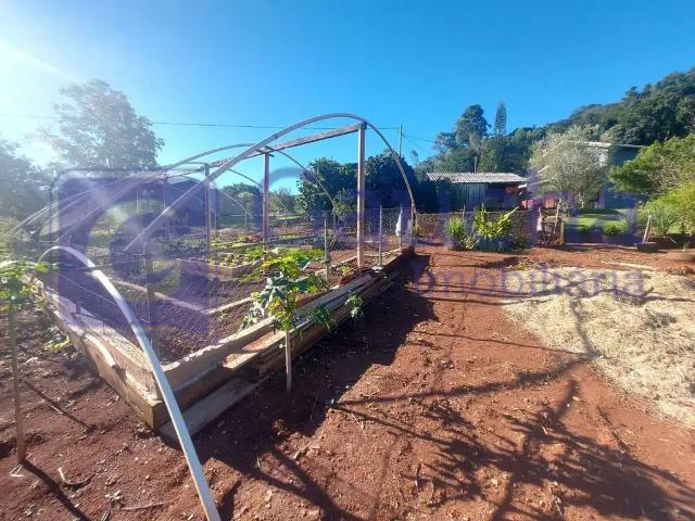 Sítio e chácara venda em Região Geográfica Imediata de Pitanga, Santa Maria do Oeste