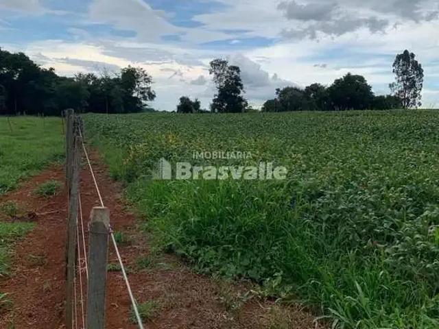 Sítio e chácara venda em Região Geográfica Imediata de Pitanga, Santa Maria do Oeste