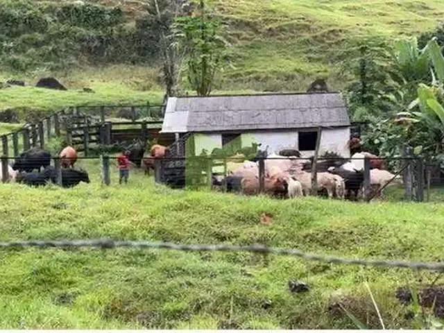 Sítio e chácara venda em Região Geográfica Imediata de Nova Friburgo, Santa Maria Madalena