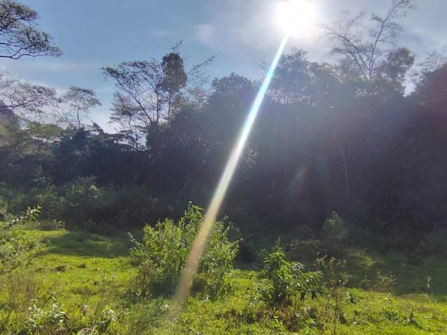 Sítio e chácara venda em Santa Maria Madalena