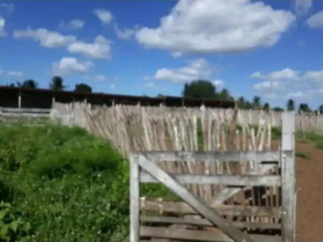 Sítio e chácara venda em Região Geográfica Imediata de Santa Maria, Santa Maria