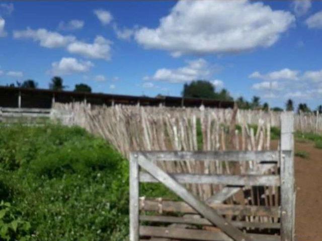 Sítio e chácara venda em Centro, Santa Maria