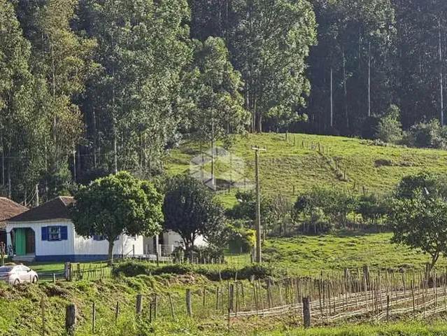 Sítio e chácara venda em Região Geográfica Imediata de Santa Maria, Santa Maria