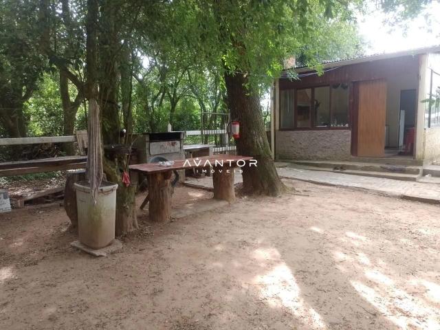 Sítio e chácara venda em Vila Arroio Grande, Santa Maria