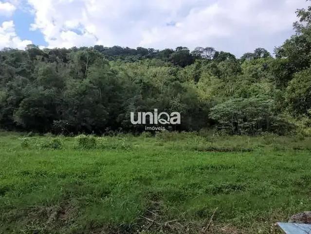 Sítio e chácara venda em Região Geográfica Imediata de Santa Maria, Santa Maria