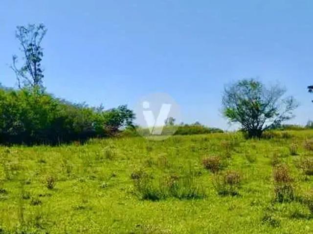 Sítio e chácara venda em Região Geográfica Imediata de Santa Maria, Santa Maria