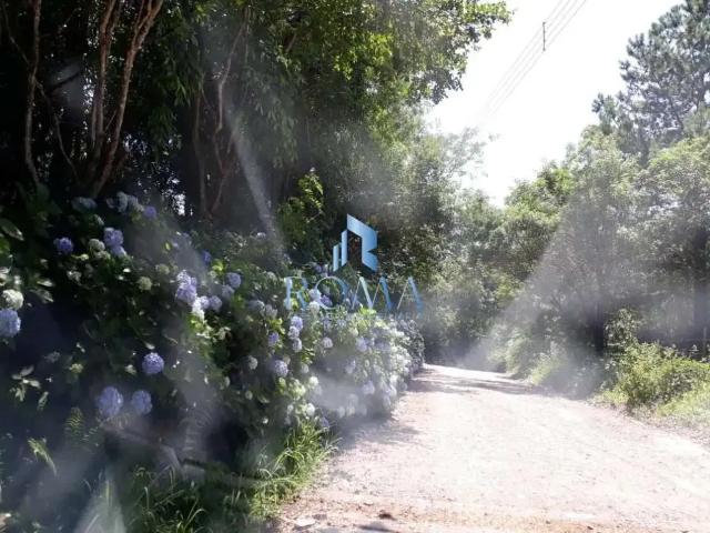 Sítio e chácara venda em Região Geográfica Imediata de Santa Maria, Santa Maria
