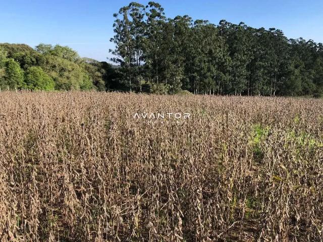 Sítio e chácara venda em Região Geográfica Imediata de Santa Maria, Santa Maria