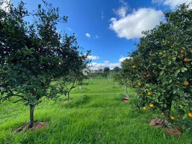 Sítio e chácara venda em Região Geográfica Imediata de Santa Maria, Santa Maria