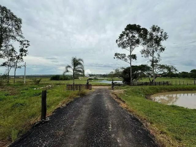 Sítio e chácara venda em Região Geográfica Imediata de Santa Maria, Santa Maria