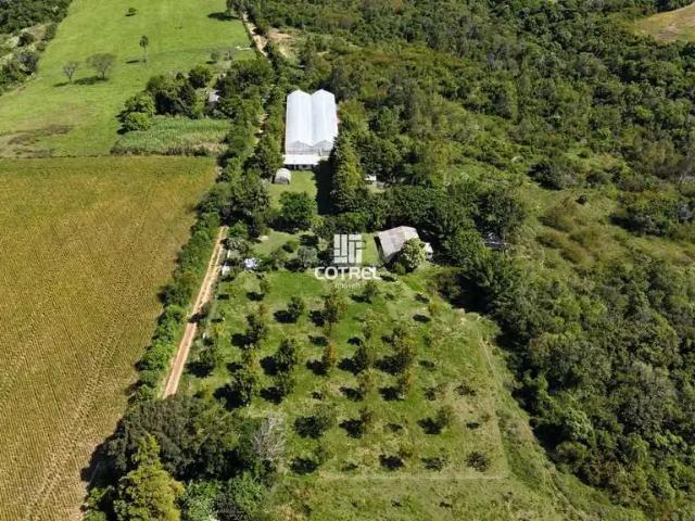 Sítio e chácara venda em Região Geográfica Imediata de Santa Maria, Santa Maria