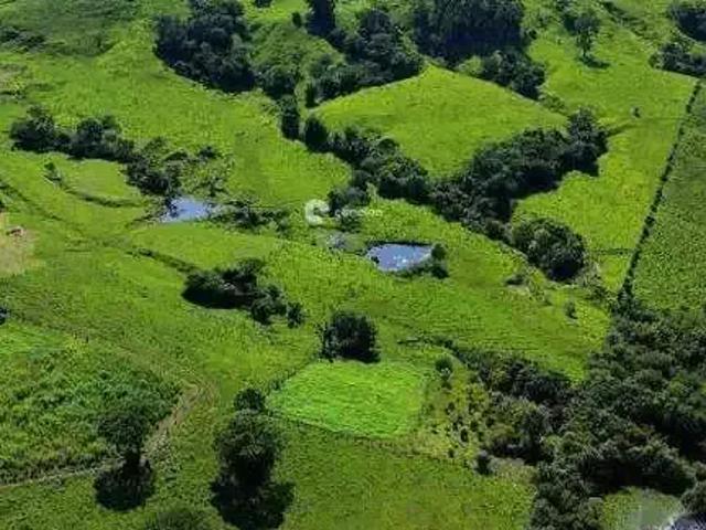 Sítio e chácara venda em Região Geográfica Imediata de Santa Maria, Santa Maria