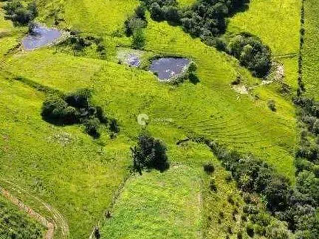 Sítio e chácara venda em Região Geográfica Imediata de Santa Maria, Santa Maria