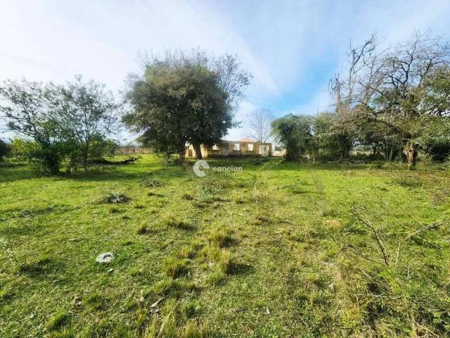 Sítio e chácara venda em Região Geográfica Imediata de Santa Maria, Santa Maria