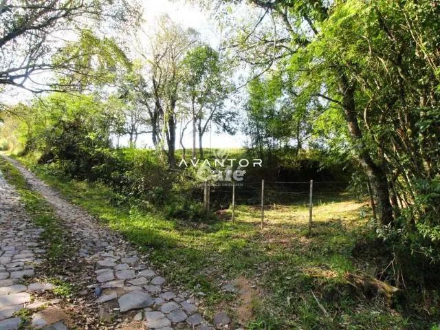 Sítio e chácara venda em Região Geográfica Imediata de Santa Maria, Santa Maria