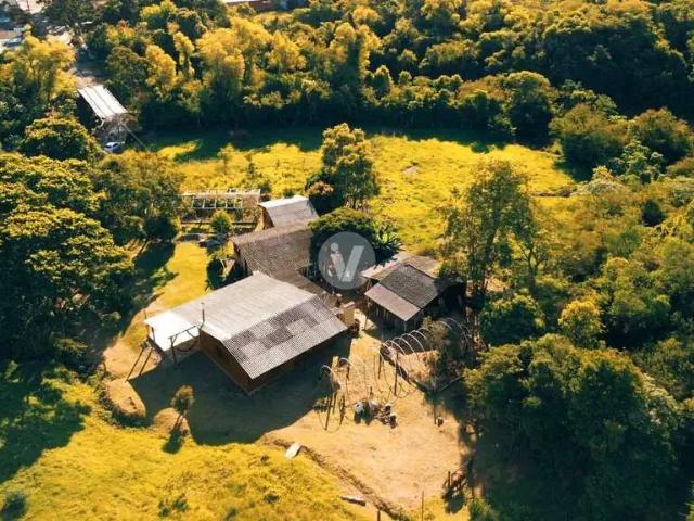 Sítio e chácara venda em Região Geográfica Imediata de Santa Maria, Santa Maria