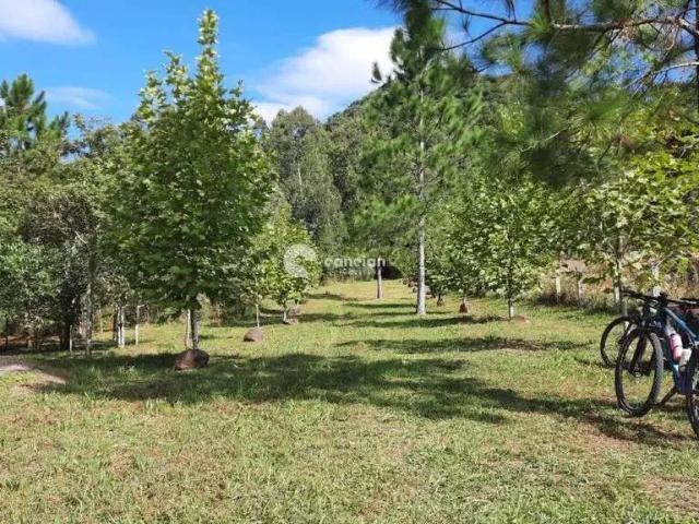 Sítio e chácara venda em Região Geográfica Imediata de Santa Maria, Santa Maria