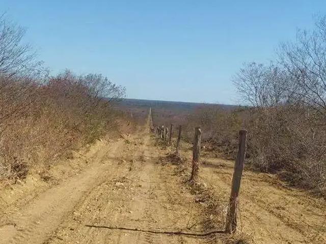 Sítio e chácara venda em Região Geográfica Imediata de Barreiras, Santa Rita de Cássia