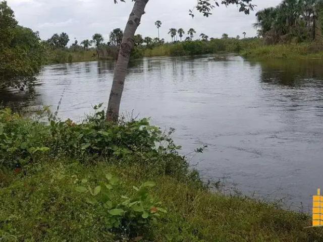 Sítio e chácara venda em Região Geográfica Imediata de Barreiras, Santa Rita de Cássia