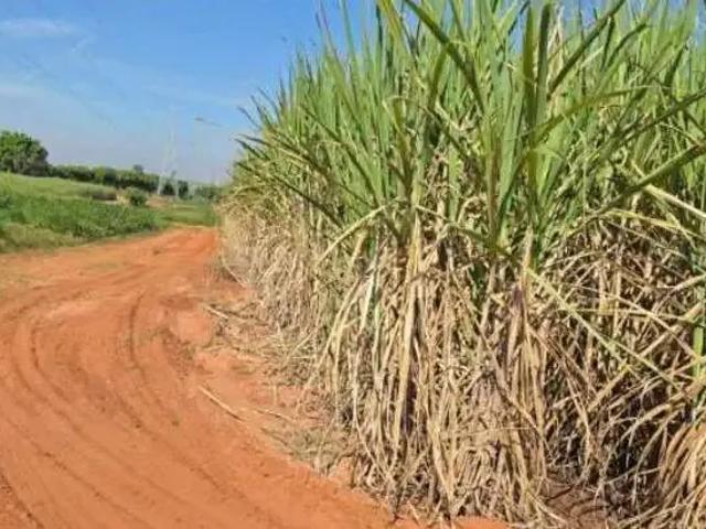 Sítio e chácara venda em Região Imediata de São Carlos, Região Metropolitana de Ribeirão Preto