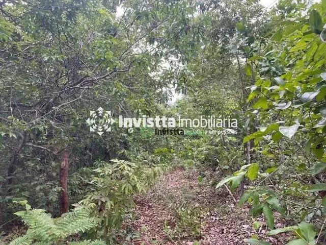 Sítio e chácara venda em Região Geográfica Imediata de Porto Nacional, Santa Rita do Tocantins