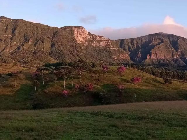 Sítio e chácara venda em Região Geográfica Imediata de Tubarão, Santa Rosa de Lima