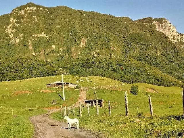 Sítio e chácara venda em Região Geográfica Imediata de Tubarão, Santa Rosa de Lima