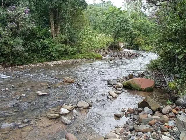 Sítio e chácara venda em Região Geográfica Imediata de Tubarão, Santa Rosa de Lima