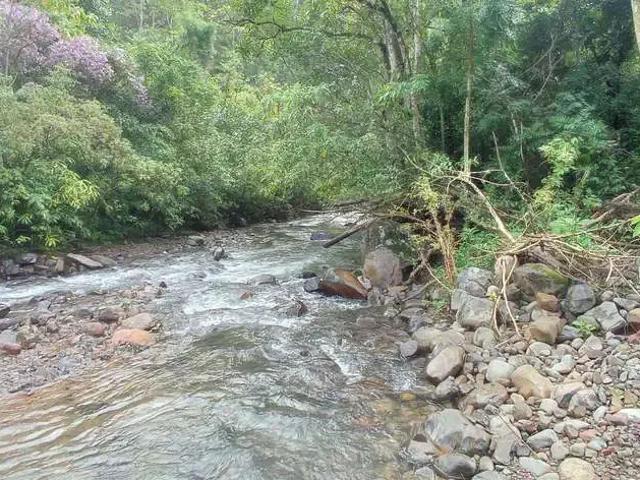 Sítio e chácara venda em Região Geográfica Imediata de Tubarão, Santa Rosa de Lima