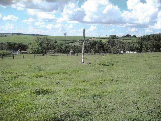 Sítio e chácara venda em Região Imediata de Ribeirão Preto, Região Metropolitana de Ribeirão Preto