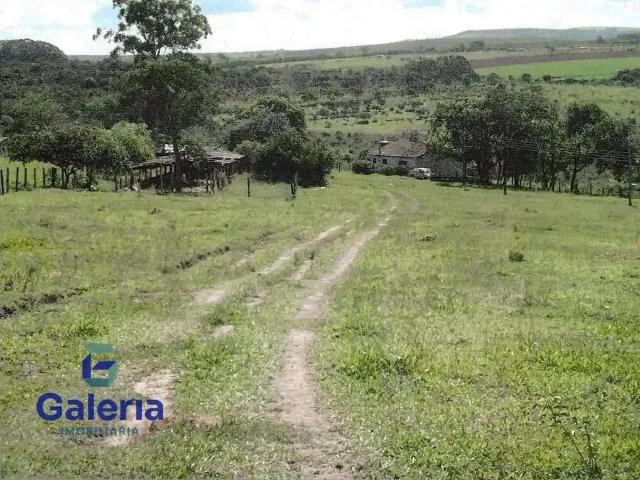 Sítio e chácara venda em Região Imediata de Ribeirão Preto, Região Metropolitana de Ribeirão Preto