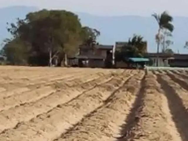 Sítio e chácara venda em Região Geográfica Imediata de Erechim, Barão de Cotegipe