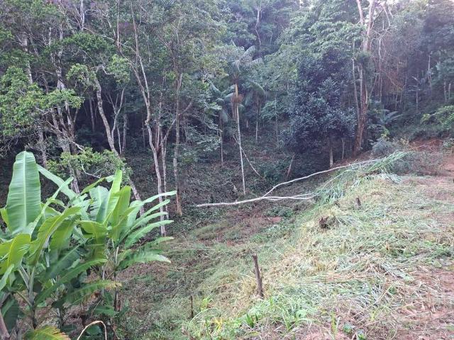 Sítio e chácara venda em Região Geográfica Imediata de Afonso Cláudio - Venda Nova do Imigrante - Santa Maria de Jetibá, Santa Teresa
