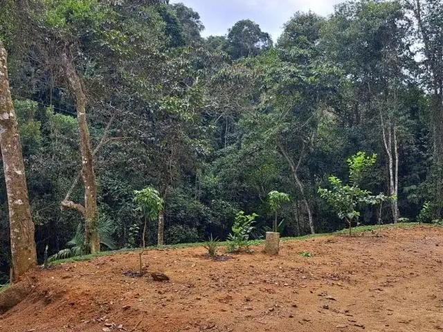 Sítio e chácara venda em Região Geográfica Imediata de Afonso Cláudio - Venda Nova do Imigrante - Santa Maria de Jetibá, Santa Teresa
