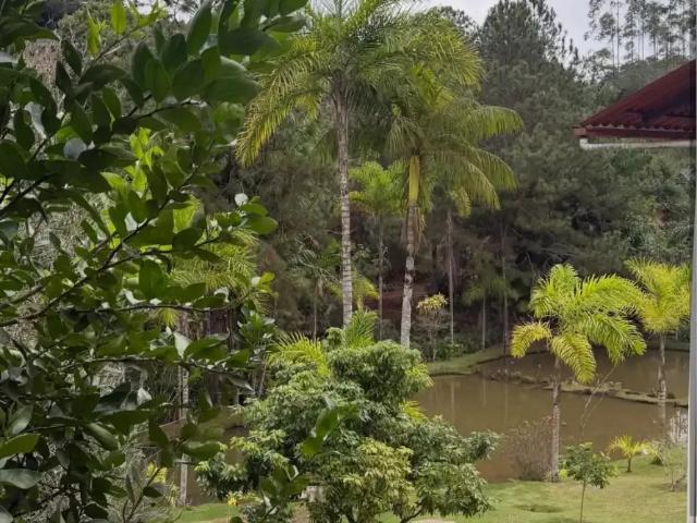 Sítio e chácara venda em Região Geográfica Imediata de Afonso Cláudio - Venda Nova do Imigrante - Santa Maria de Jetibá, Santa Teresa
