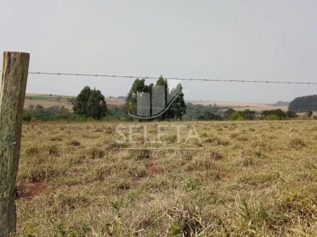 Sítio e chácara venda em Região Geográfica Imediata de Cascavel, Santa Tereza do Oeste