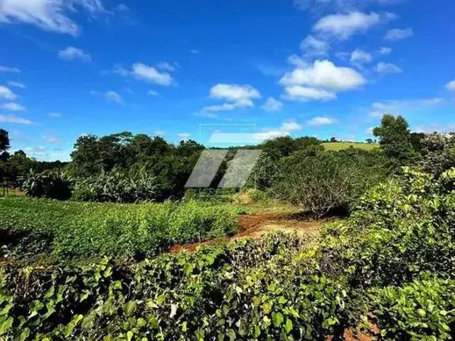 Sítio e chácara venda em Região Geográfica Imediata de Cascavel, Santa Tereza do Oeste