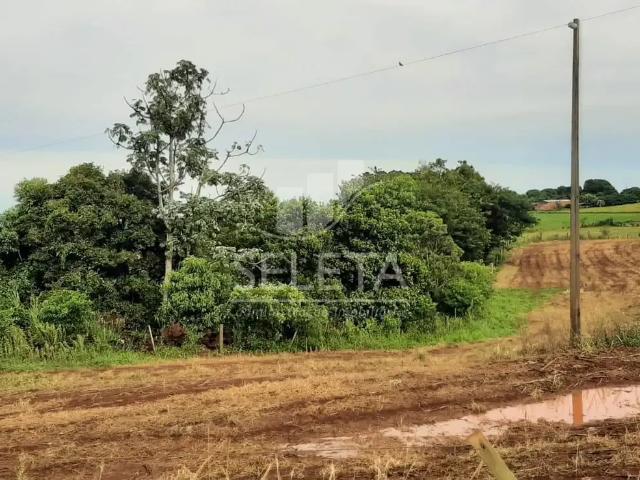 Sítio e chácara venda em Região Geográfica Imediata de Cascavel, Santa Tereza do Oeste