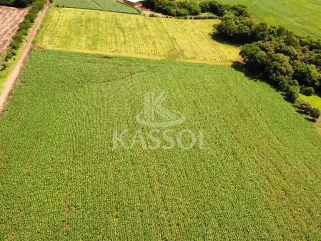 Sítio e chácara venda em Região Geográfica Imediata de Cascavel, Santa Tereza do Oeste