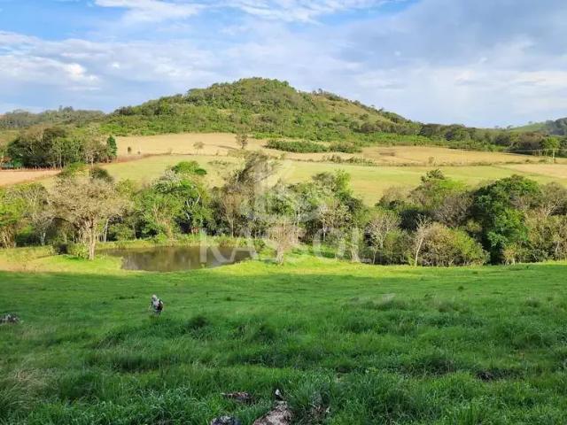 Sítio e chácara venda em Região Geográfica Imediata de Cascavel, Santa Tereza do Oeste