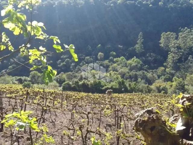 Sítio e chácara venda em Região Geográfica Imediata de Bento Gonçalves, Santa Tereza